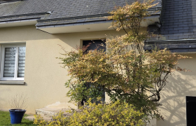 Traitement de toiture avec produit d'Alep anti-mousse anti-mousse