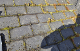 Débouchage traitement anti-mousse 