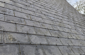 Débouchage traitement anti-mousse 