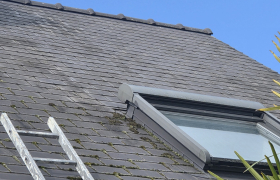 Démoussage manuellement avec traitement anti-mousse