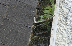 Nettoyage traitement fibrociment résine nettoyage de gouttière travaux réalisés Chantepie 